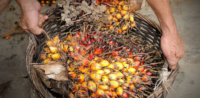 Responsible Palm Oil Sourcing